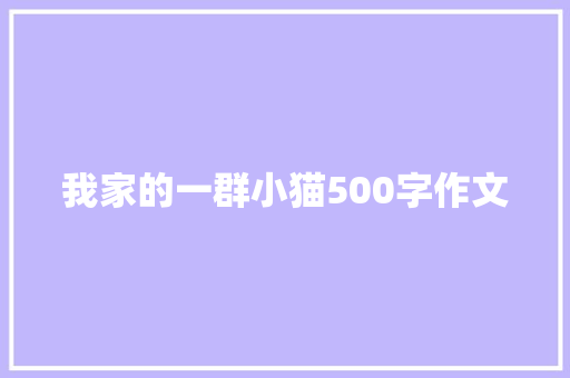 我家的一群小猫500字作文