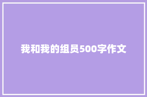 我和我的组员500字作文