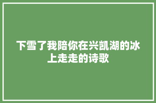 下雪了我陪你在兴凯湖的冰上走走的诗歌