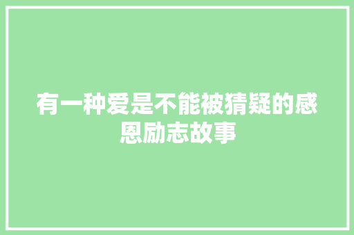 有一种爱是不能被猜疑的感恩励志故事