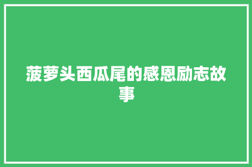 菠萝头西瓜尾的感恩励志故事