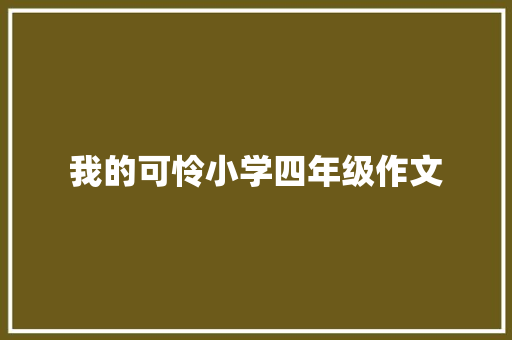 我的可怜小学四年级作文