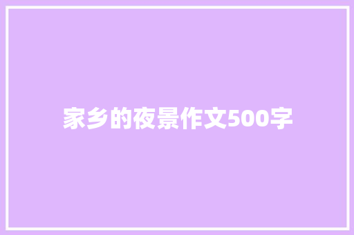 家乡的夜景作文500字