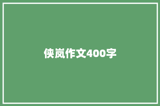 侠岚作文400字