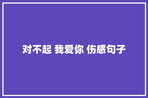 对不起 我爱你 伤感句子