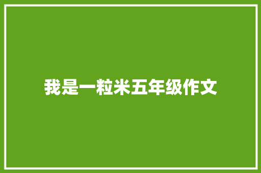 我是一粒米五年级作文