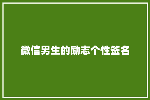 微信男生的励志个性签名