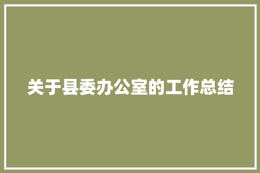 关于县委办公室的工作总结