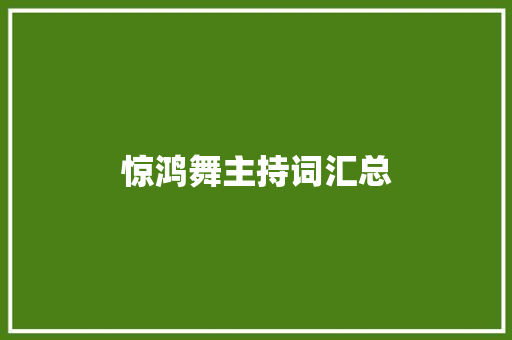 惊鸿舞主持词汇总