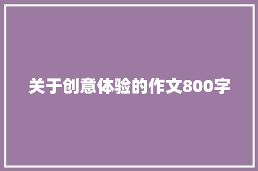 关于创意体验的作文800字