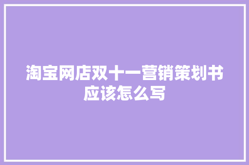 淘宝网店双十一营销策划书应该怎么写