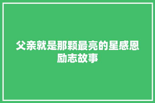 父亲就是那颗最亮的星感恩励志故事