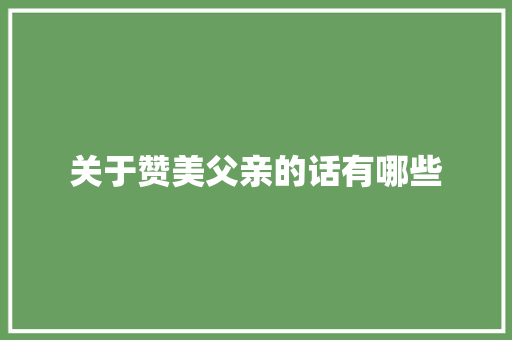 关于赞美父亲的话有哪些