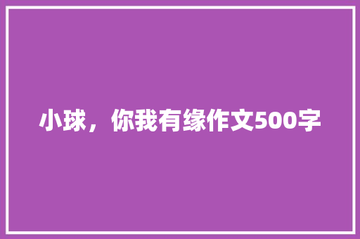 小球，你我有缘作文500字