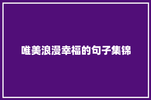 唯美浪漫幸福的句子集锦