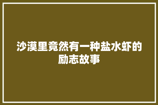 沙漠里竟然有一种盐水虾的励志故事