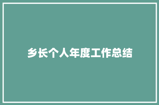 乡长个人年度工作总结