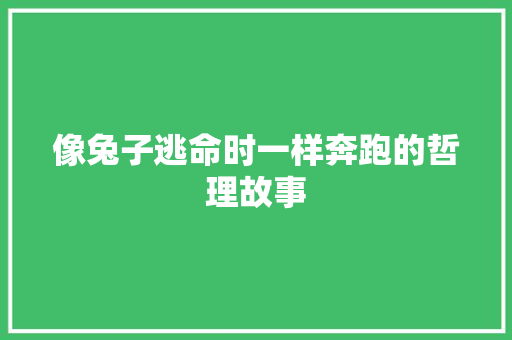 像兔子逃命时一样奔跑的哲理故事