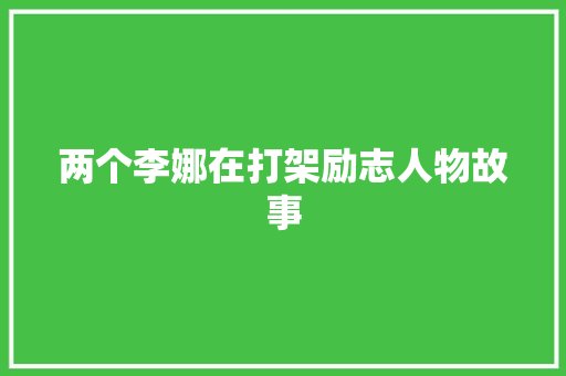 两个李娜在打架励志人物故事