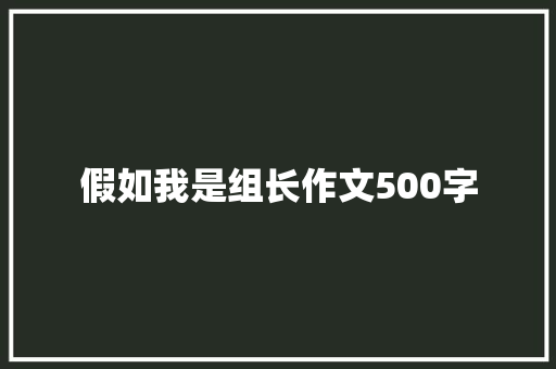 假如我是组长作文500字