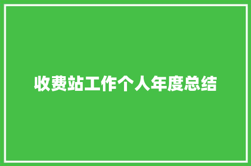 收费站工作个人年度总结