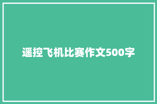 遥控飞机比赛作文500字