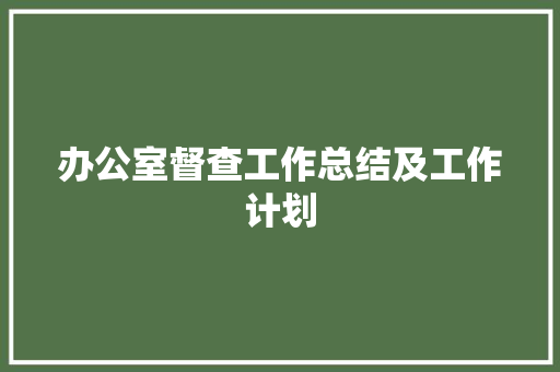 办公室督查工作总结及工作计划