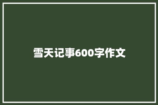 雪天记事600字作文