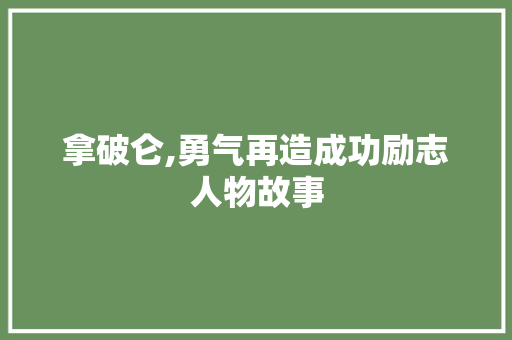 拿破仑,勇气再造成功励志人物故事