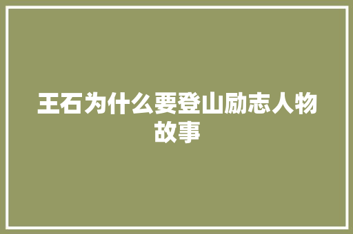 王石为什么要登山励志人物故事