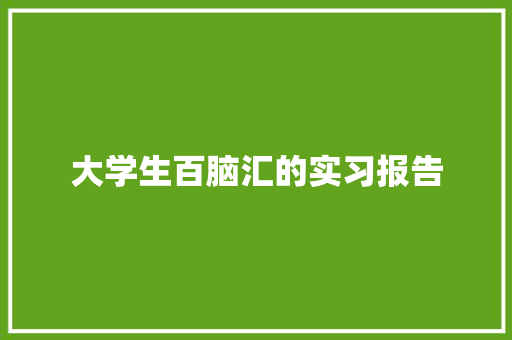 大学生百脑汇的实习报告