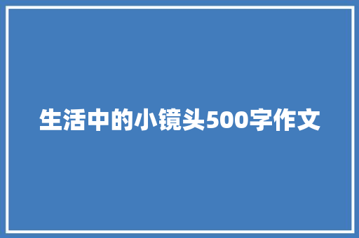 生活中的小镜头500字作文 申请书范文