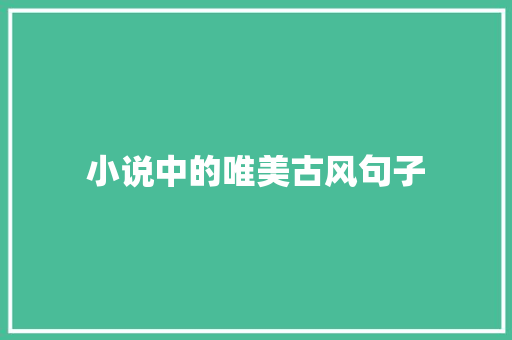 小说中的唯美古风句子