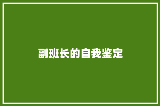 副班长的自我鉴定