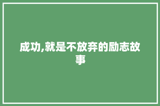 成功,就是不放弃的励志故事