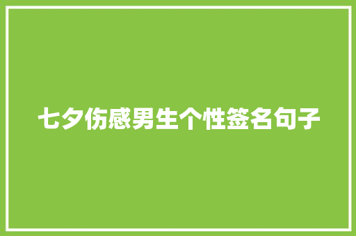 七夕伤感男生个性签名句子