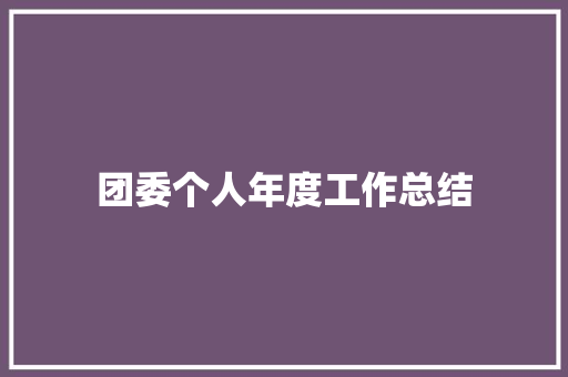 团委个人年度工作总结