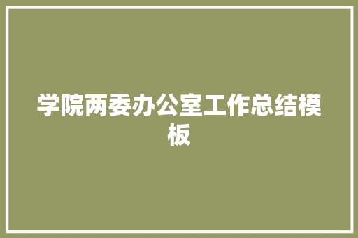 学院两委办公室工作总结模板