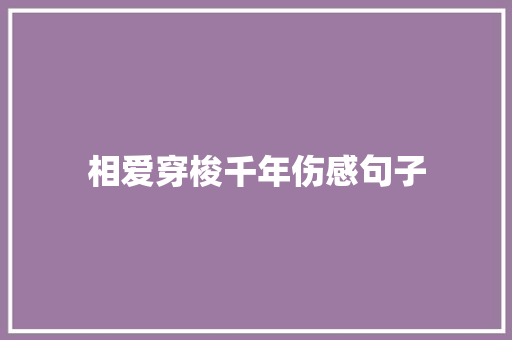 相爱穿梭千年伤感句子