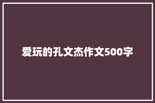 爱玩的孔文杰作文500字