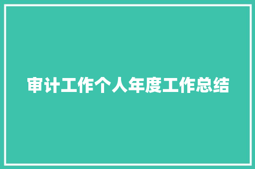 审计工作个人年度工作总结