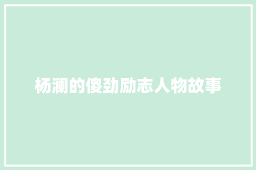 杨澜的傻劲励志人物故事