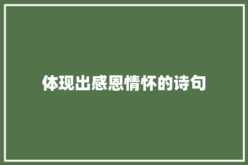 体现出感恩情怀的诗句