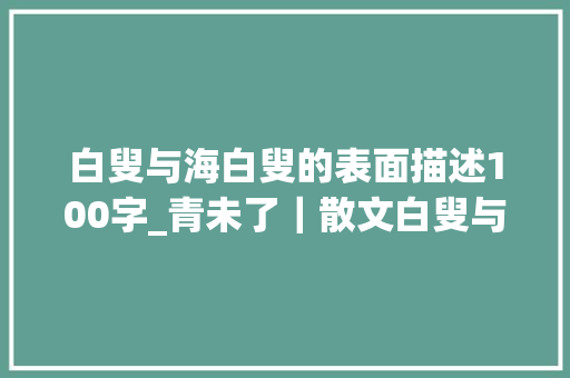 白叟与海白叟的表面描述100字_青未了｜散文白叟与海