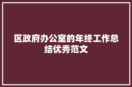 区政府办公室的年终工作总结优秀范文