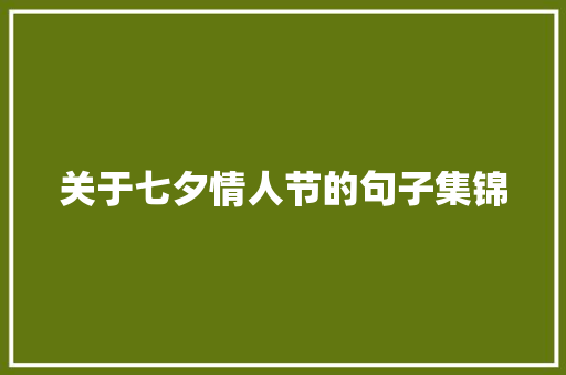 关于七夕情人节的句子集锦