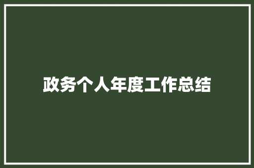 政务个人年度工作总结