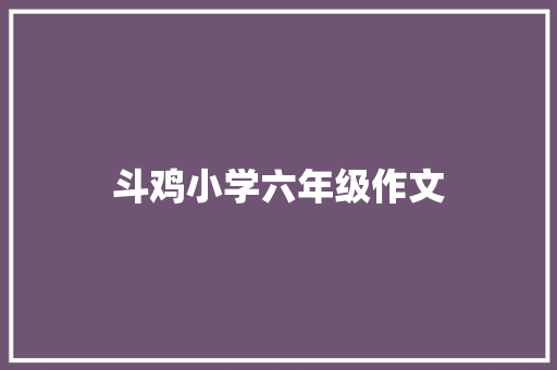 斗鸡小学六年级作文