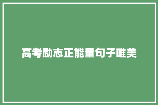 高考励志正能量句子唯美