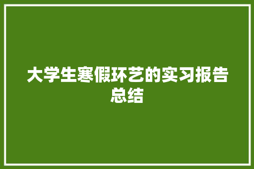 大学生寒假环艺的实习报告总结